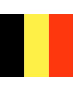 Flag of Belgium 