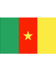 Flag of Cameroon