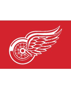 Detroit Red Wings 2010/11 Flag Design