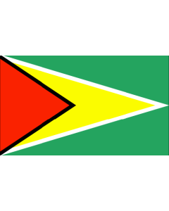 Flag of Guyana