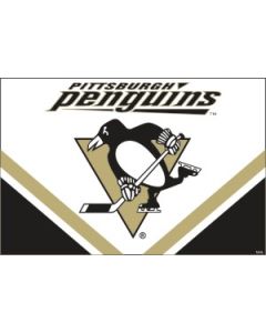 Pittsburgh Penguins 2010/11 Flag Design